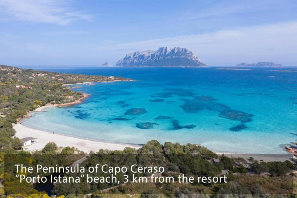 Capo Ceraso Family Resort 科斯塔克拉里那 外观 照片