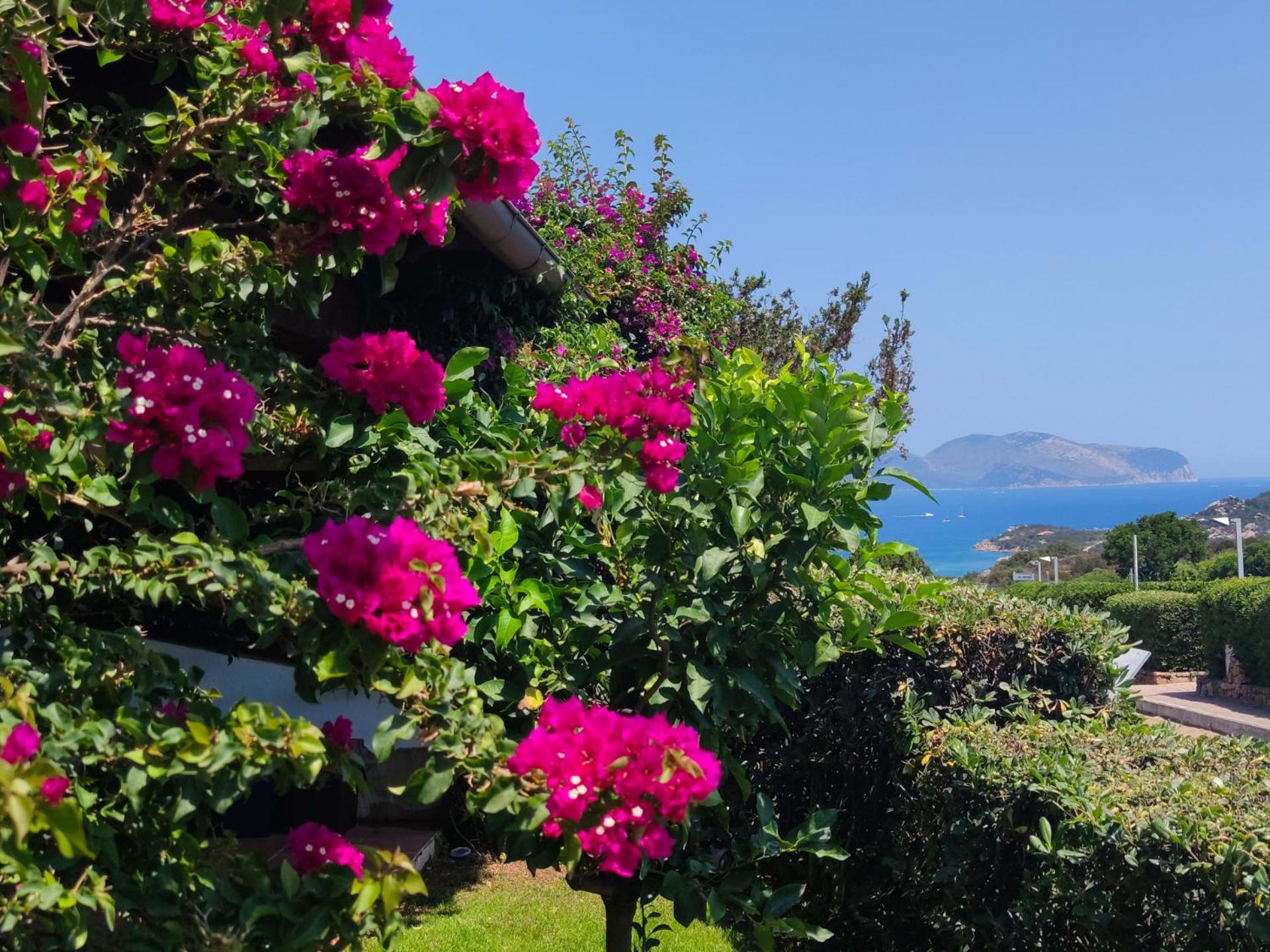 Capo Ceraso Family Resort 科斯塔克拉里那 客房 照片