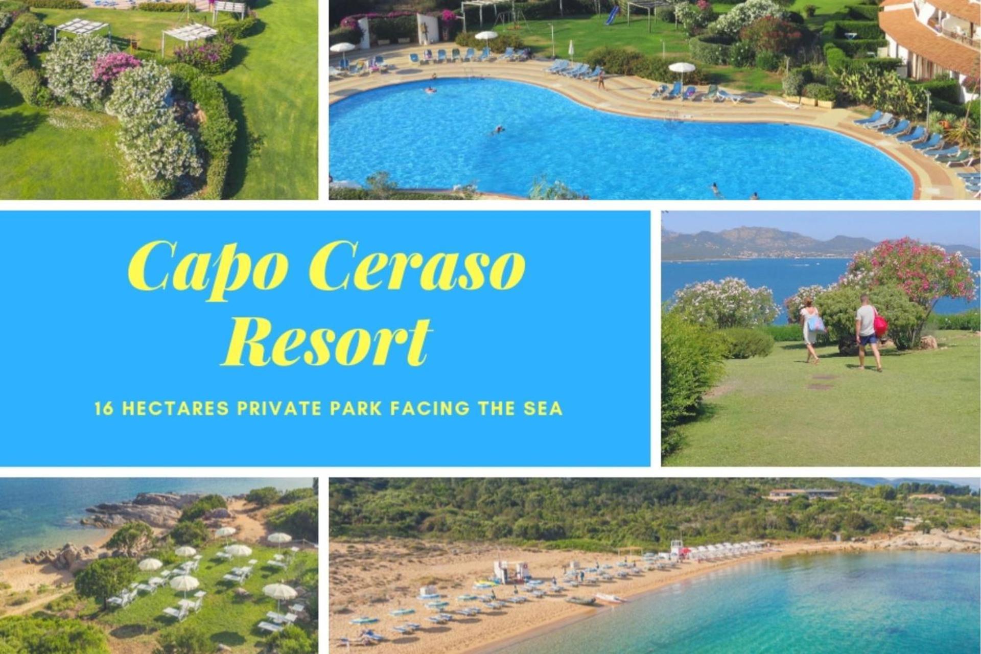Capo Ceraso Family Resort 科斯塔克拉里那 外观 照片